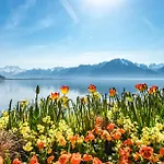 Apartment La Du Bourg *