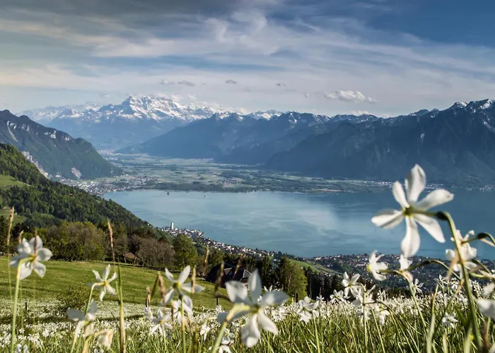 Appartamento La Du Bourg La Tour-de-Peilz