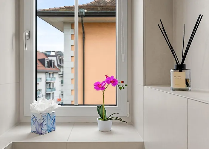 La Du Bourg Appartement La Tour-de-Peilz